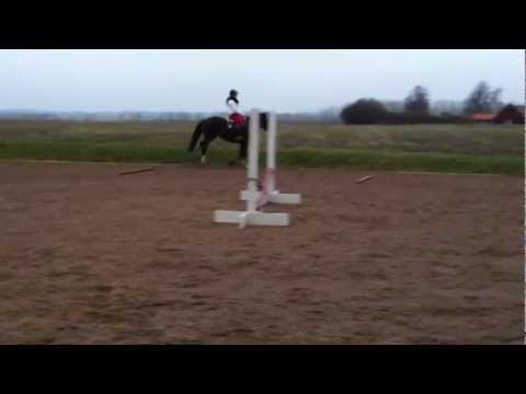 Sandra Persson & Pyret 2011