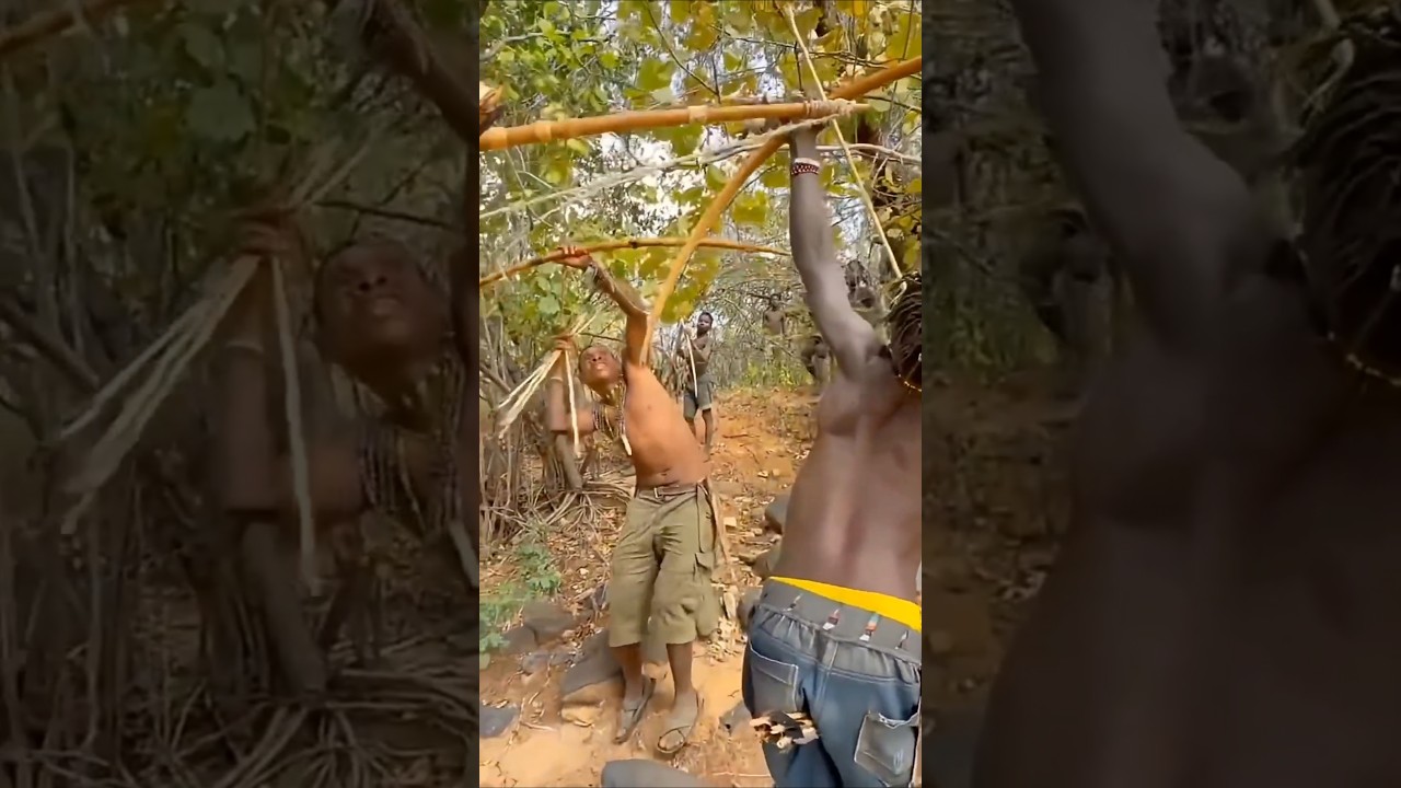 Hunter Shocked by Two Hidden Leopards! शिकारी हैरान दो तेंदुए! Caçador Surpreso com Dois Leopardos!