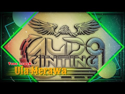 Karaoke ULA MERAWA || Versi penceng langkat