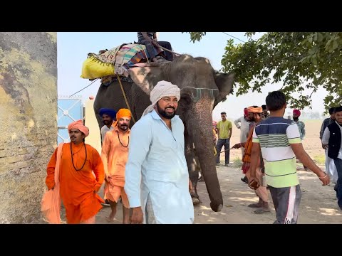 ਲੁੱਚੇ ਬੁੜੇ ਦੀ ਸ਼ੂਟਿੰਗ ਤੇ ਹਾਥੀ ਵਾਲੇ ਬਾਬੇ ਹਾਥੀ ਲੈਕੇ ਆਏ🐘 | JATT BEAT RECORD| HARMAN KAHAL VLOG