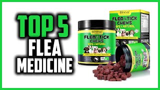 ✅Top 5 Best Flea Medicine for Dogs in 2026