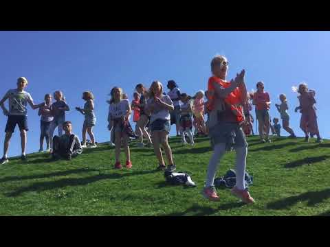 TL-dansen Rosseland skule 2018