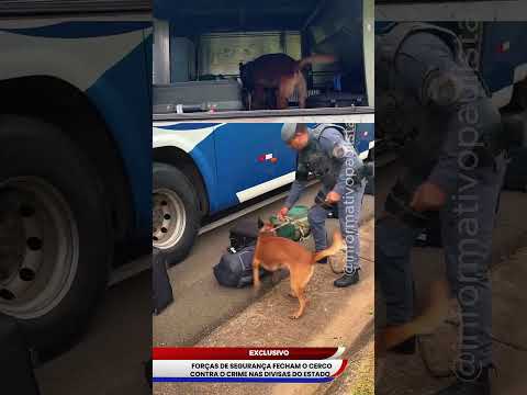 FORÇAS DE SEGURANÇA FECHAM O CERCO CONTRA O CRIME NAS DIVISAS DO ESTADO