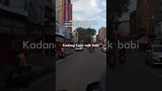 Download lagu kadang kami naik babi #fyp #shorts mp3 Download lagu kadang kami naik babi #fyp #shorts mp3