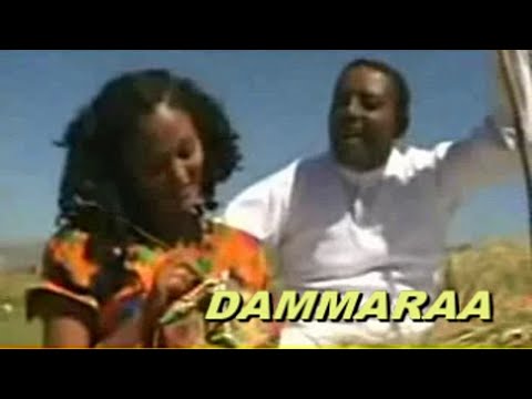 BEST OF#DAMMARA|| KOTTU MAALO|| OROMO MUSIC
