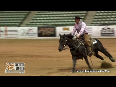 Hesa Royalena ridden by Clay Volmer  - 2016 NRCHA Snaffle Bit Futurity (Herd Work - Open Prelims)