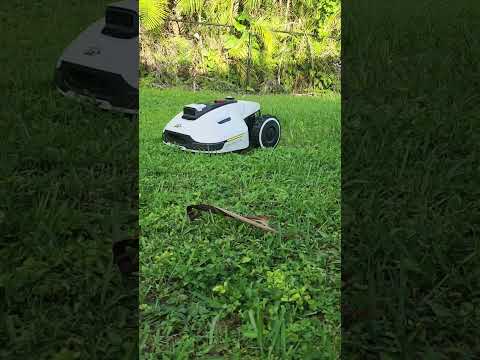 QUIET! Robot Lawn Mower