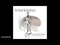 "At The Eastern Rim" - From "Tribal Schubert" - Kazu Matsui Project feat. Keiko Matsui on piano