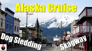 Skagway Dog Sledding | Norwegian Spirit | Alaska Cruise | Excursion | Puppies!