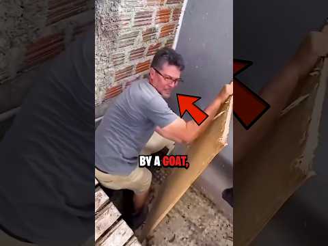 How To Survive Goat Attack 😨