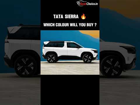 Which Colour Will You Choose
