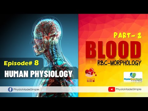 Ep#8 | HUMAN PHYSIOLOGY | BLOOD - Morphology of RBC #humanphysiology #blood