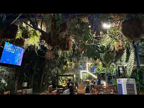 Henry Coffee Tp Cao Lãnh: 276, Thiên Hậu Dương, Tp Cao Lãnh, Tỉnh Đồng Tháp