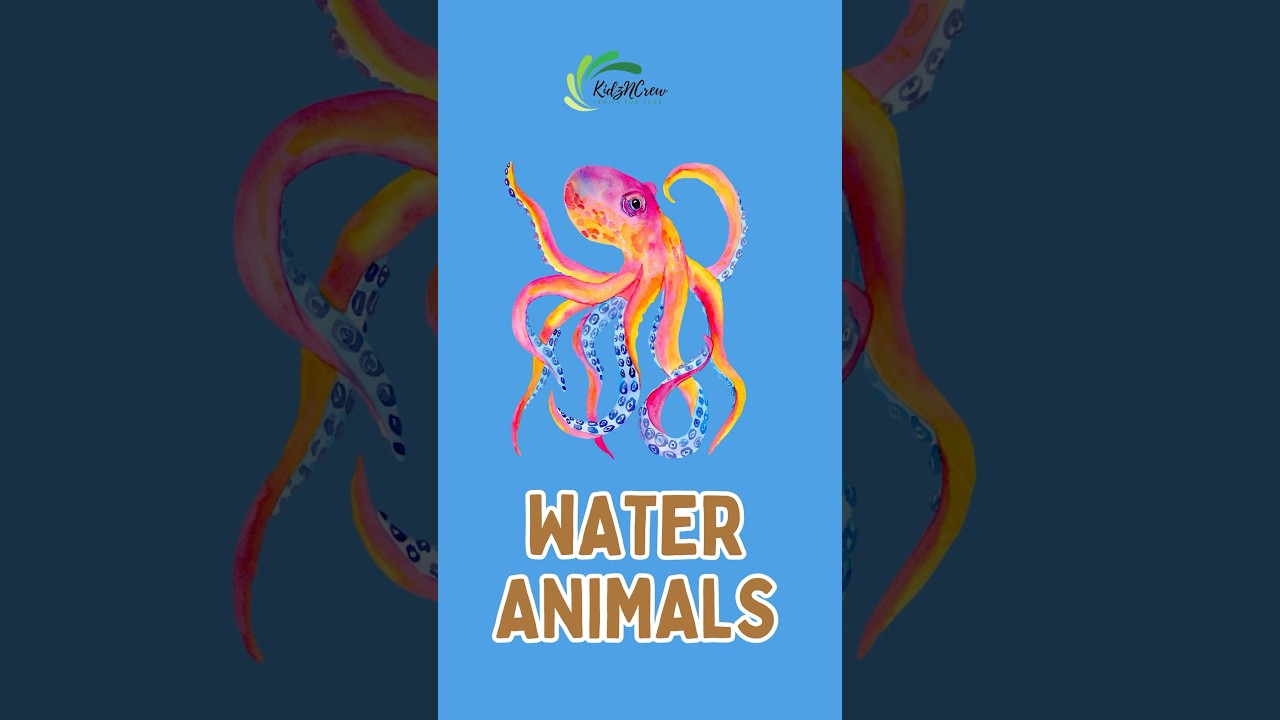 🐠 Explore Aquatic / Water Animals for Kids! 🌊 Fun Learning with KidzNCrew