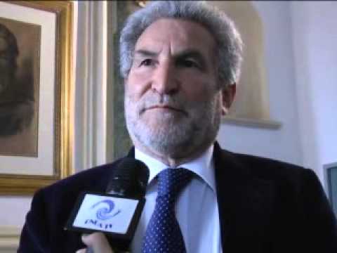 ONDA TG 4.04.2013 - INTERVISTA GOFFREDO PALMERINI