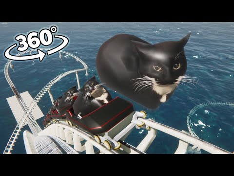 VR 360 Maxwell The Cat Roller Coaster!