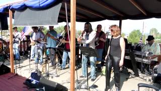 The Letter – Mass Hipsteria