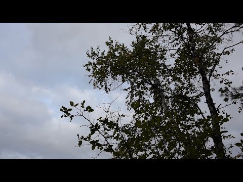 БАННЫЙ отдых от МОБИБА