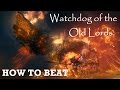 How to beat: Watchdog of the Old Lords - Cursed ...