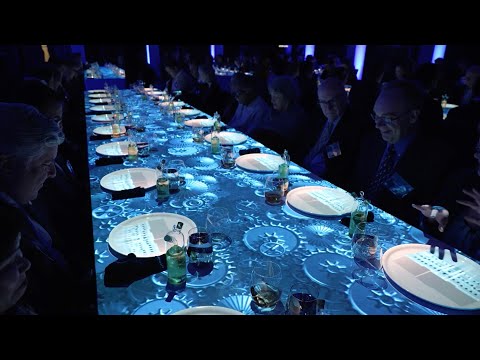USD Projection Mapping Dining Experience