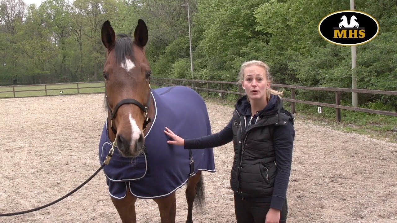 QHP | Fleece rug Ornament