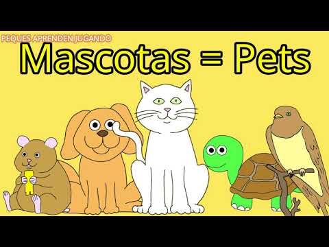 Las mascotas en inglés  Nombres de las mascotas en inglés  Video de Peques Aprenden Jugando