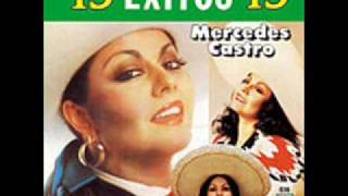 Pedaso de Idiota-Mercedes Castro