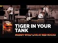 Joe Bonamassa Official - "Tiger In Your Tank" - Muddy Wolf at Red Rocks - JoeBonamassaTV Joe Bonamassa Official - "Tiger In Your Tank" - Muddy Wolf at Red Rocks