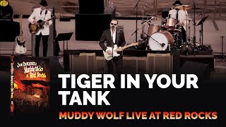 Joe Bonamassa - Tiger In Your Tank - Muddy Wolf at Red Rocks