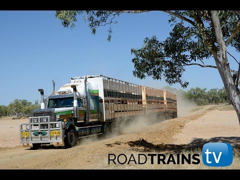 Extreme Truckers 650 horsepower 130 ton cattle train