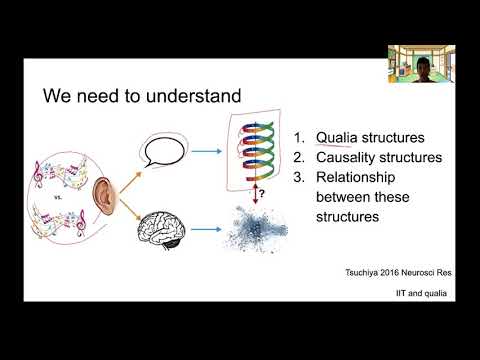 How can IIT potentially explain the structure of consciousness or qualia?