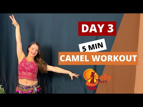 Camel // Belly Dance Workout - Day 3
