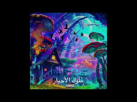 Arab Falcon Baby Freestyle || صقر العرب || ملوك الأحبار