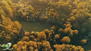Early In The Morning | Relaxing Music by Peder B. Helland