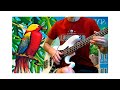 Spyro Gyra - Dizzy bass cover