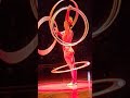 NYC Big Apple Circus
