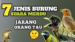 Download lagu 7 Types of Birds with Melodious Voices That People Rarely Know About mp3 Download lagu 7 Types of Birds with Melodious Voices That People Rarely Know About mp3