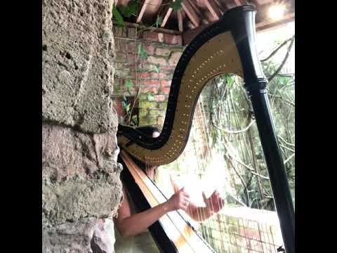 Stand By Me harp cover Les Magee