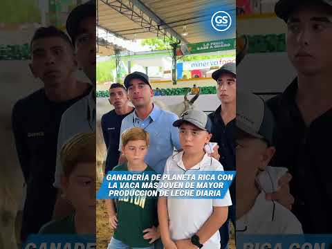 Vaca joven de Planeta Rica, Córdoba, rompe récord de producción lechera
