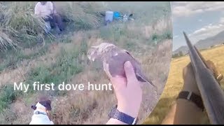 Dove Hunting with Ducks Pouring In Over Mojos | Utah Dove Hunting