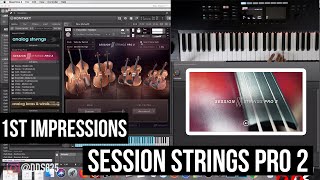 Video thumbnail for Session Strings Pro 2! Native Instruments' New Kontakt Library. First Impressions by DDS825