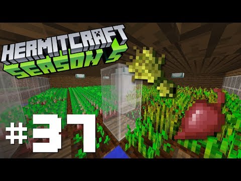 Hermitcraft Season V: E37 - Wheat to the Beet