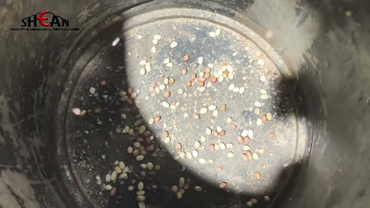 Rice & Coffee Bean Color Sorting Machine | High Precision Optical Sorter