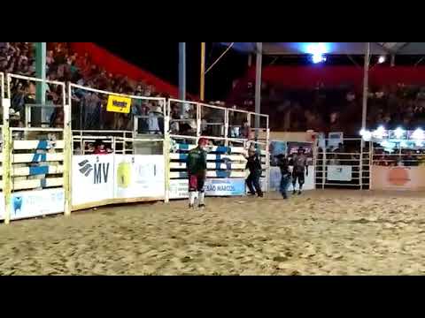 Touro linha de fogo cia de rodeio barretinho