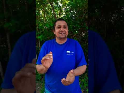 novi pesni 2022 shturia mitko