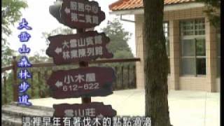 走在台灣的脊樑上─森林浴漫步 大雪山森林步道