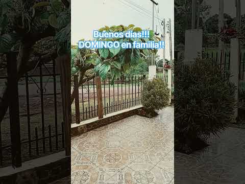 DIA GRIS 🩶 en Panambi Misiones!! #suscribe