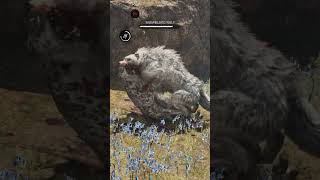 Hunting Snowblood Wolf Far Cry Primal - Full Video On This Channel #shorts #farcryprimal #animals