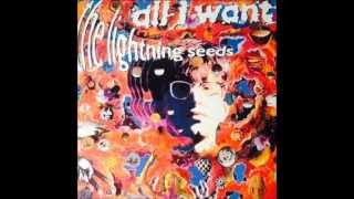 The Lightning Seeds - All I Want (Extended Version)