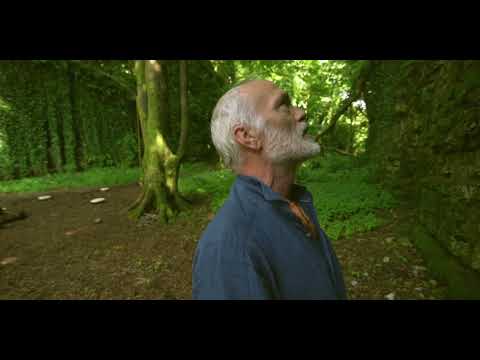 Rónán Ó Snodaigh :: An All Mór Domhain